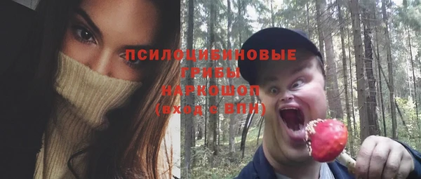 бошки Абинск