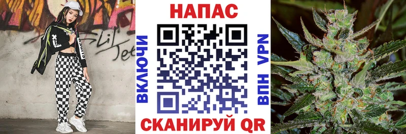 Бошки Шишки индика  Цоци-Юрт 